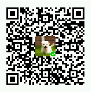Tenken WeChat Pay